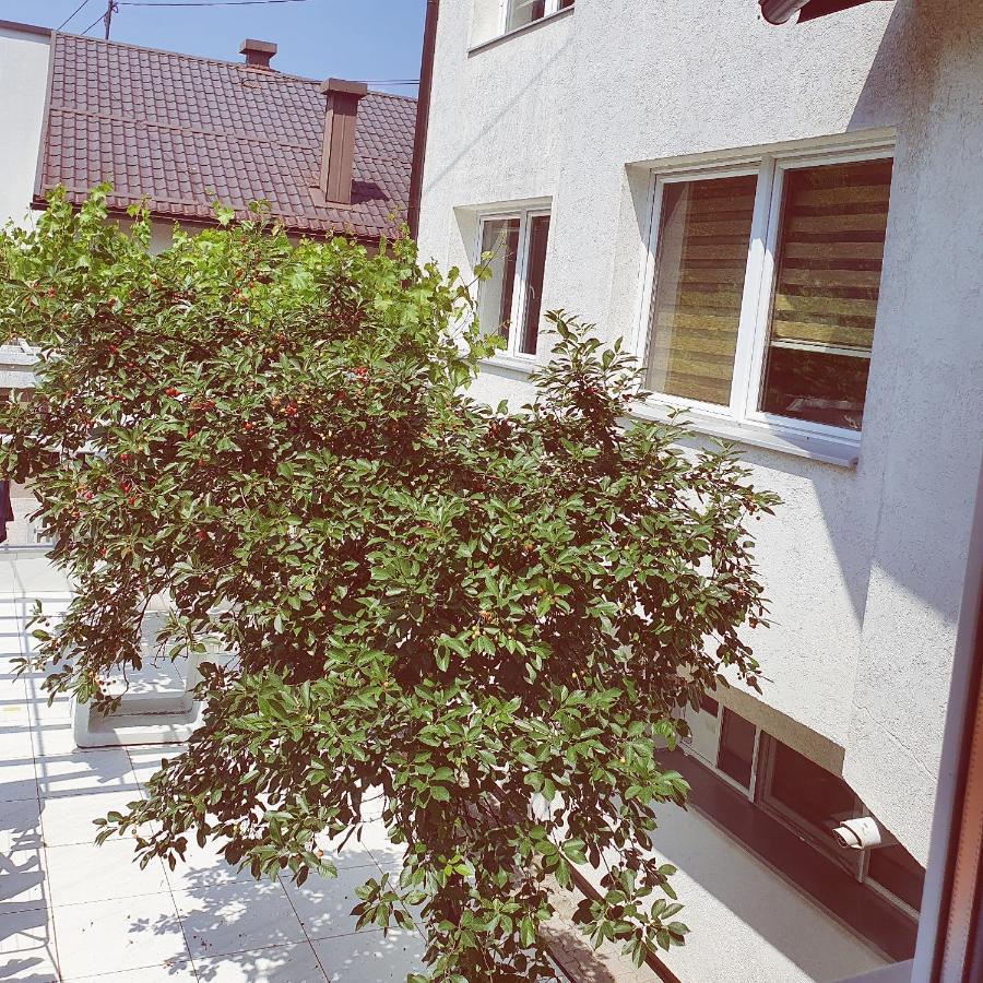 Apartments Arna Високо Экстерьер фото